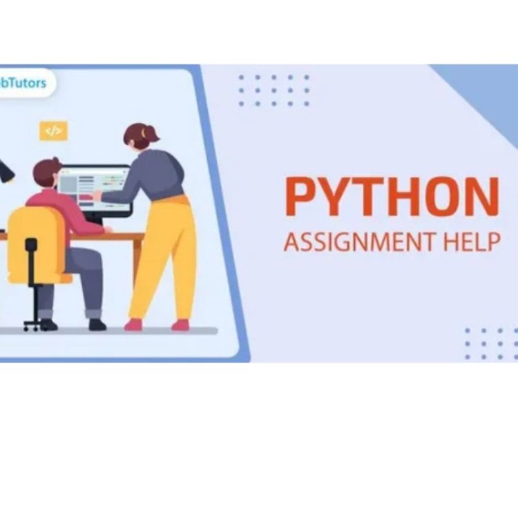 Why Python Assignment Help Is Essential For IT Students?