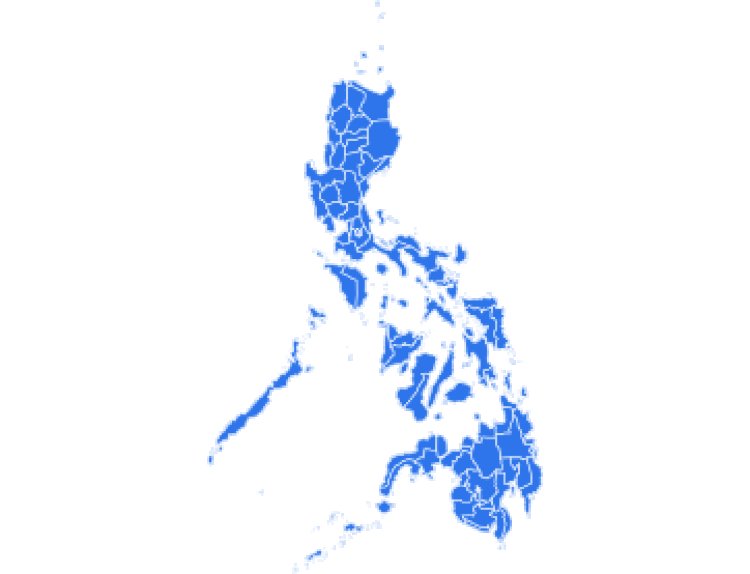 Why Philippines Import Data Matters for Market Analysis