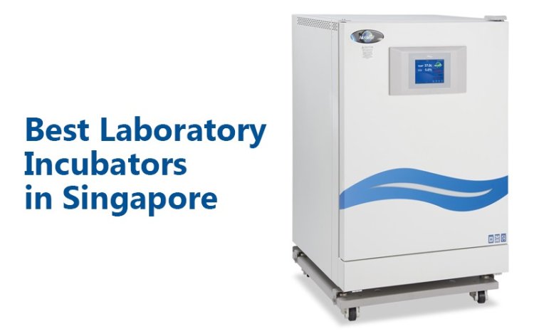 Top Quality Laboratory Incubators Available for 2025