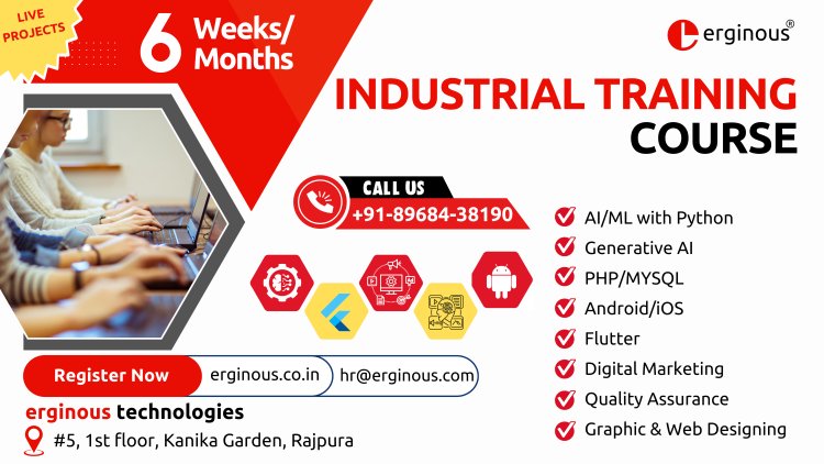 Industrial training in Rajpura| Erginous Technologies