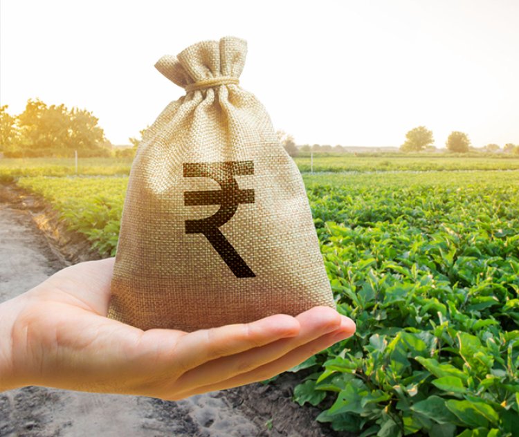 How Agricultural Loan Schemes Empower Rural Development