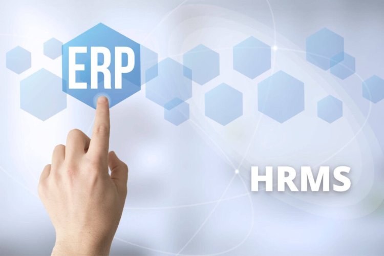 Streamlining Success: The Dynamic Duo of ERP and HRMS Software