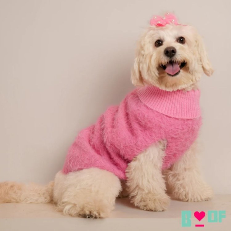 Affordable Dog Sweaters for All Breeds and Sizes