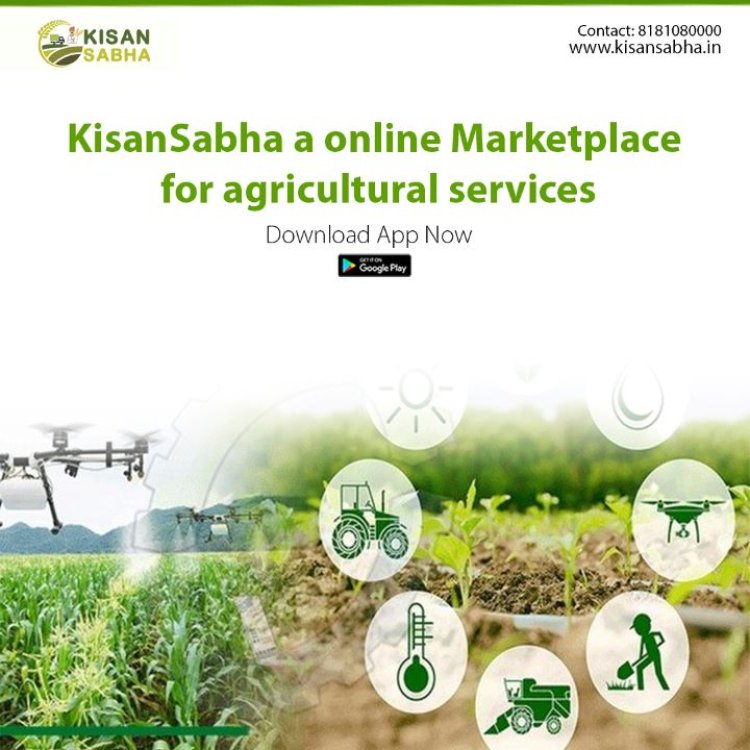 KisanSabha: Easy Solutions for Farmers and Startups.