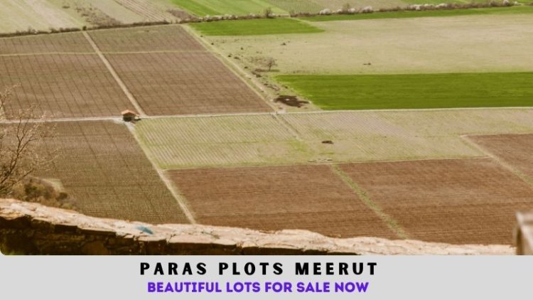 Paras Plots Meerut | Beautiful Lots for Sale Now