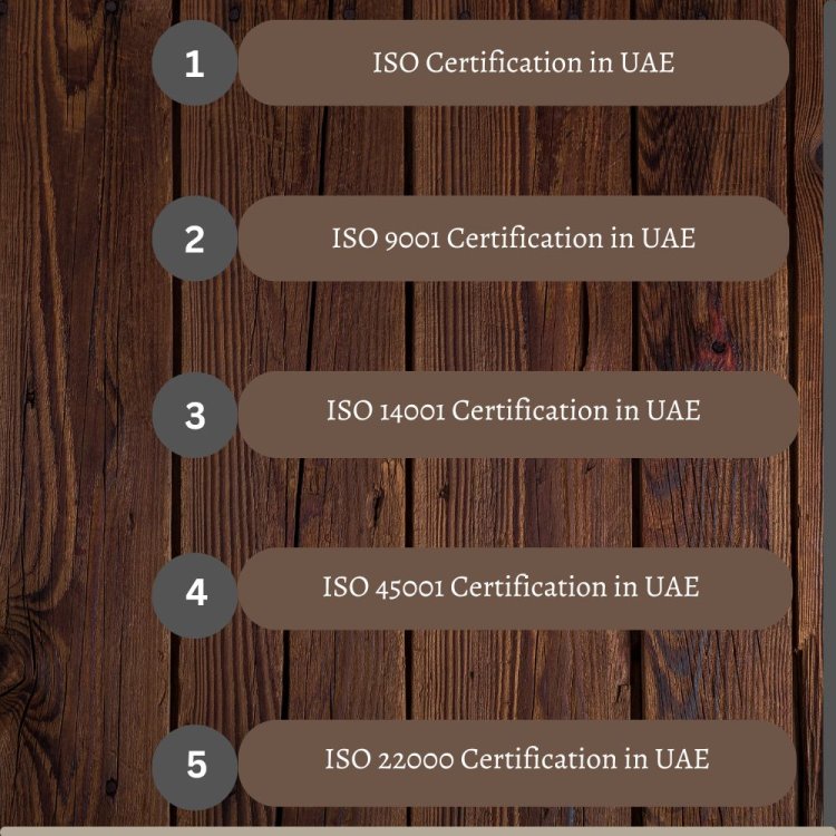 How To Obtain ISO 14001 Certification In UAE For Environmental Management System