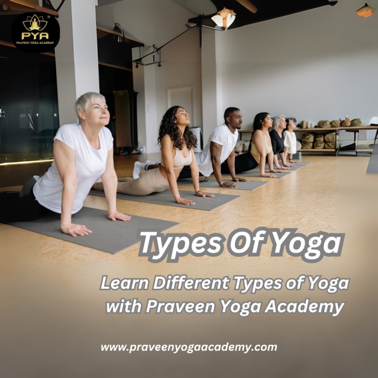 Discover the Different Types of Yoga for Your Wellness Journey