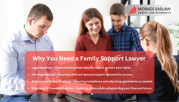 The Role of a Family Support Lawyer in Navigating Complex Legal Matters