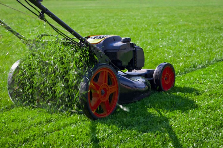 The Perfect Lawn: How Often Should You Mow for Healthy Grass?