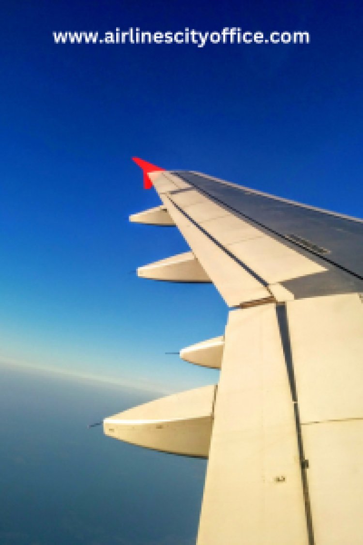 LOT Polish Airlines Chicago Office Your Gateway to Seamless Travel