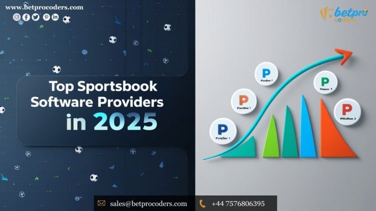 Top Sportsbook Software Providers in 2025