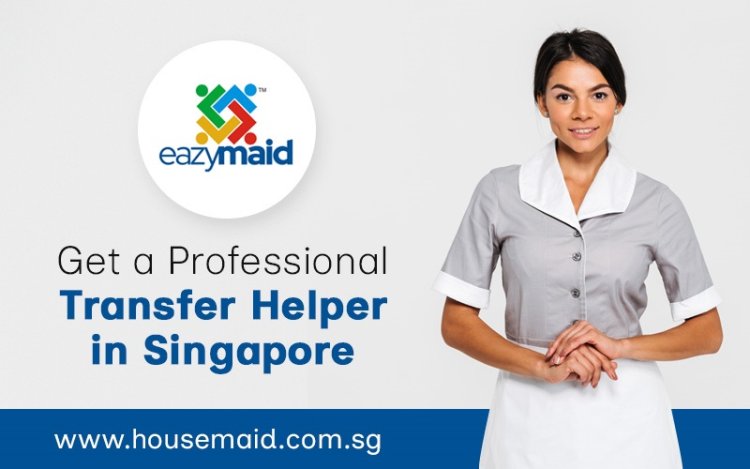 Get a Professional Transfer Helper in Singapore