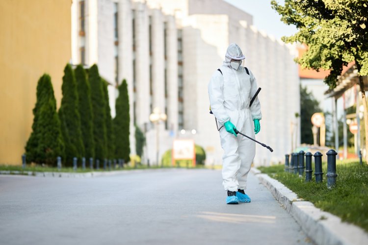 Reliable Pest Control Services in Singapore: Keep Your Home and Business Pest-Free