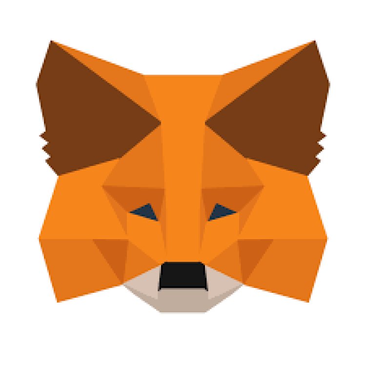 Metamask Wallet Extension