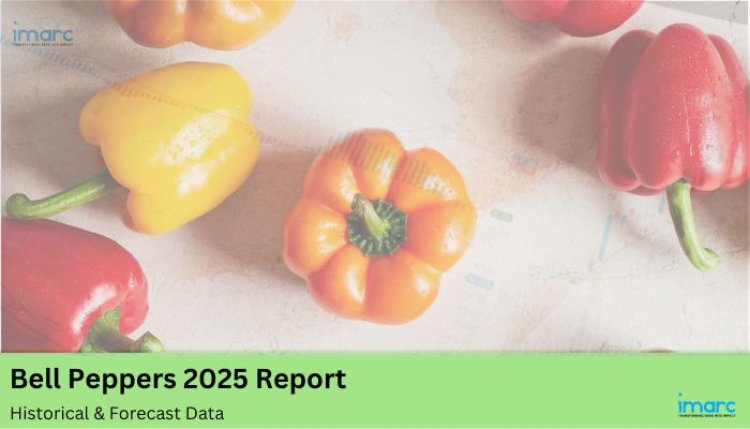 Bell Peppers Prices, Pricing Report, Chart & History