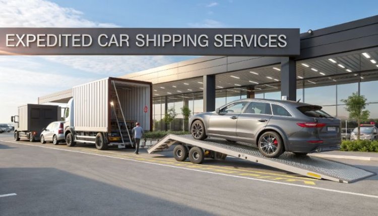 Quick Car Shipping in South Carolina – Trusted Expedited Services