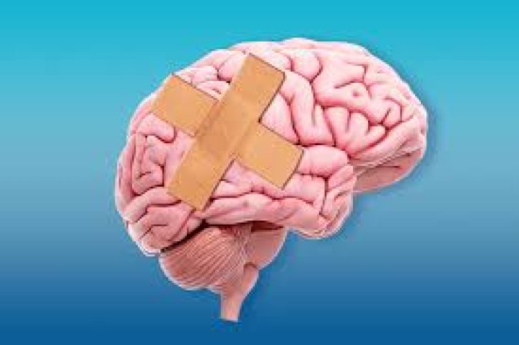Rewiring Your Brain After Porn Addiction