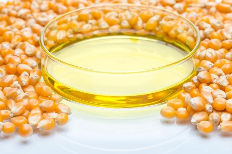 High Fructose Corn Syrup (HFCS) Manufacturing Plant Project Report 2025: Setup Details, Capital Investments and Expenses