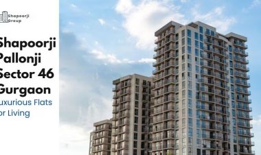 Shapoorji Pallonji Sector 46 Gurgaon | Luxurious Flats for Living