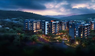 What is Oceanus White Meadows?