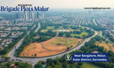Top Reasons to Invest in Brigade Plots Malur near Bangalore