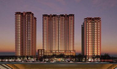 Why Renox Group Is One of India’s Most Trusted Real Estate Brands ?