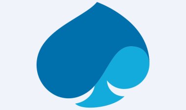Capgemini Share Price in 2025: Trends and Predictions