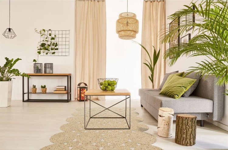Carpet Sofa Cleaning Services: From Funky to Fresh in Under 60 Minutes