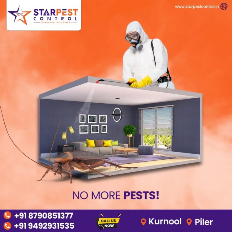 Best Rodent Removal Solutions in Kurnool