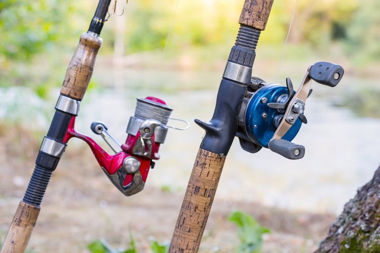 Fishing Rods and KP Reels for Sale: A Comprehensive Guide for Beginners