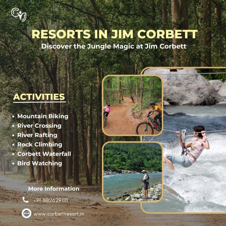 Top Corbett Resorts | Luxury Wildlife Resorts & Holiday Packages