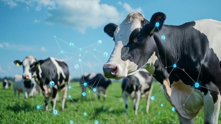 Artificial Intelligence (AI) in Livestock Farming Market Size, Forecast by 2025-2033