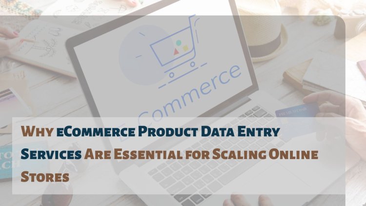 Why eCommerce Product Data Entry Services Are Essential for Scaling Online Stores