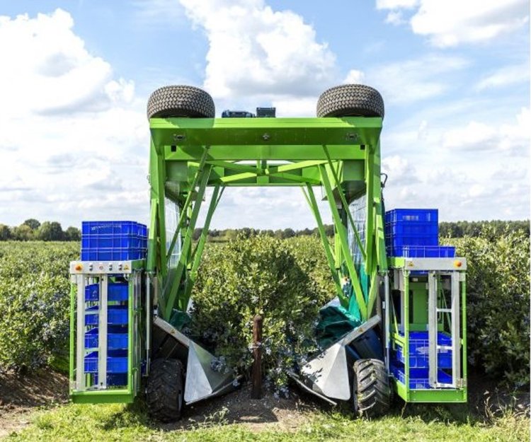Berry Harvester Market Trends and Research, Forecast and Growth 2032