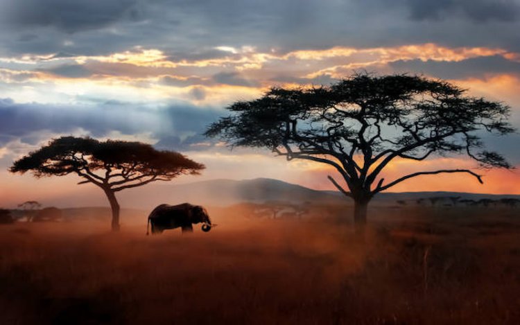 10 Must-See Attractions in Tanzania