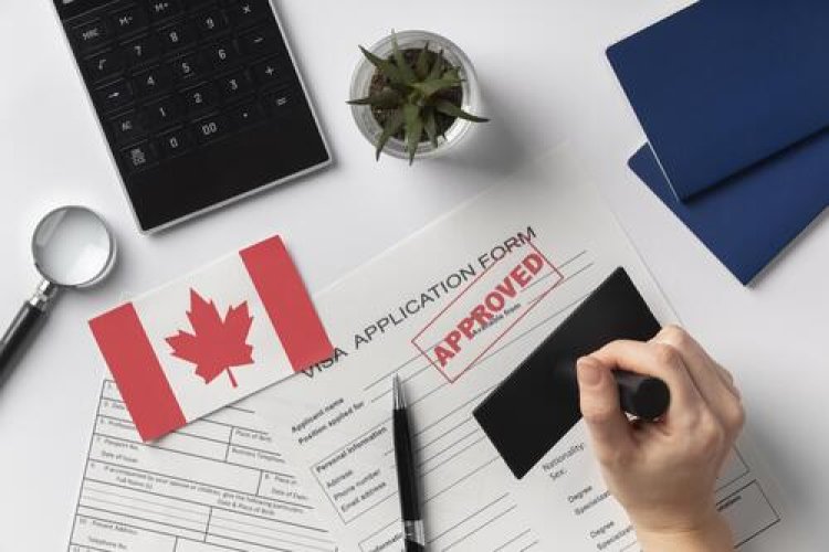 Canada Visitor Visa Interview: Common Questions and How to Answer Them