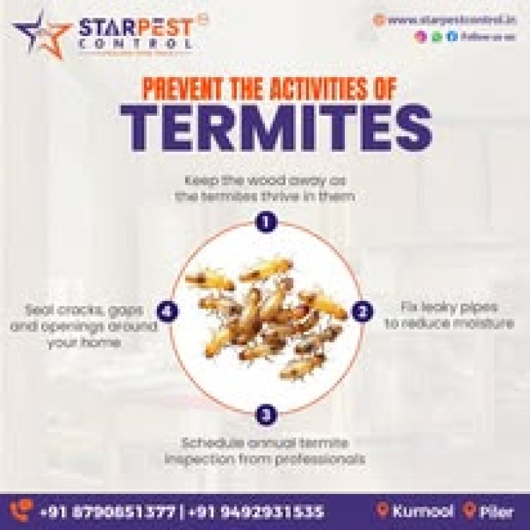Best Flies and Spider Pest Control Services in Kurnool