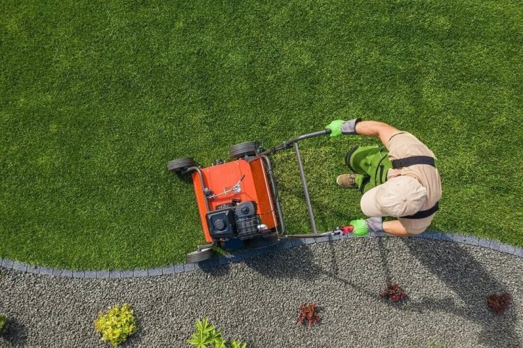 Deep Care for Deeper Roots – Calgary Green Space Experts