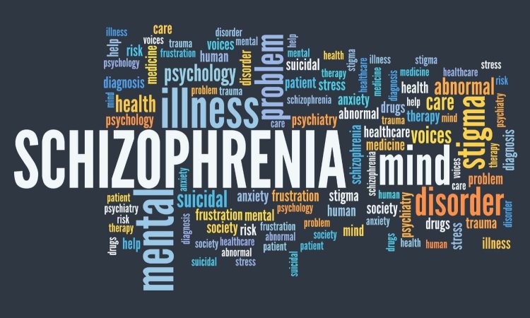 6 Benefits of Choosing a Local Schizophrenia Rehabilitation Centre in Pune