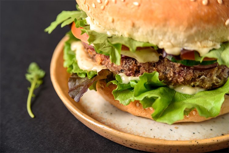 Flavor Modulator Market Demand, Size-Share, Forecast Report by 2025-2033