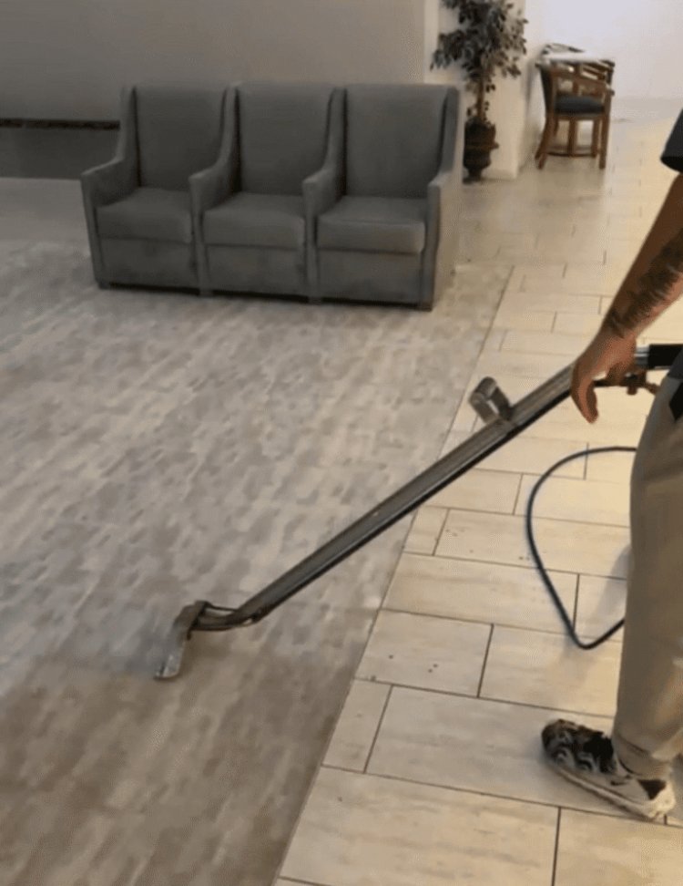 Carpet Cleaning Service in Chicago