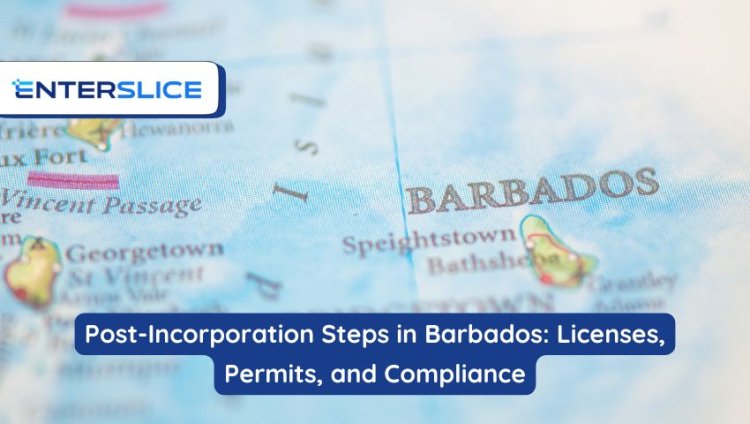 Post-Incorporation Steps in Barbados: Licenses, Permits, and Compliance