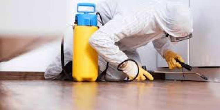Keep Your Home Safe from Silent Destroyers with Smart Solutions
