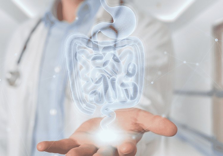 Liver Health and How a Gastroenterologist in Dubai Can Support You