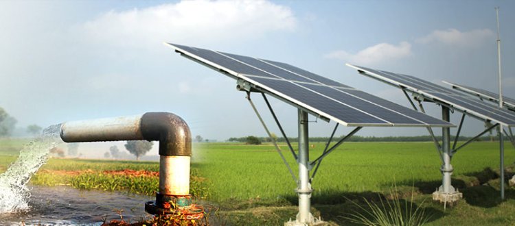 The Environmental Benefits of Using Solar Pumps
