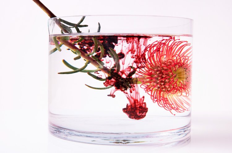 Bach Flower Remedy White Chestnut – Natural Relief for Overthinking and Mental Clarity