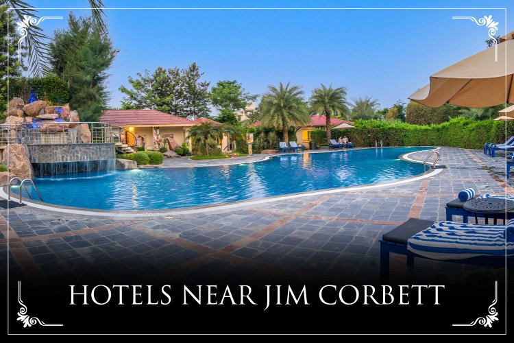 Resort De Coração – The Ultimate Choice Among Hotels Near Jim Corbett