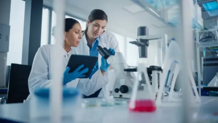The Role of Assay Testing in Clinical Diagnostics
