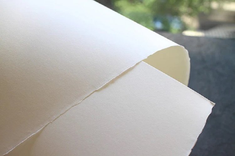 Bamboo Paper Manufacturing Plant Cost 2025: Comprehensive Business Plan and Machinery Requirements