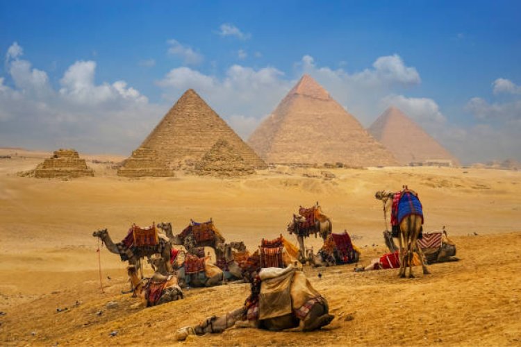 Best Egypt Tour Packages from Canada – Discover History with Al Ibrahim Travel